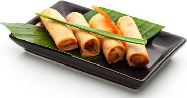 Vegetarian spring roll